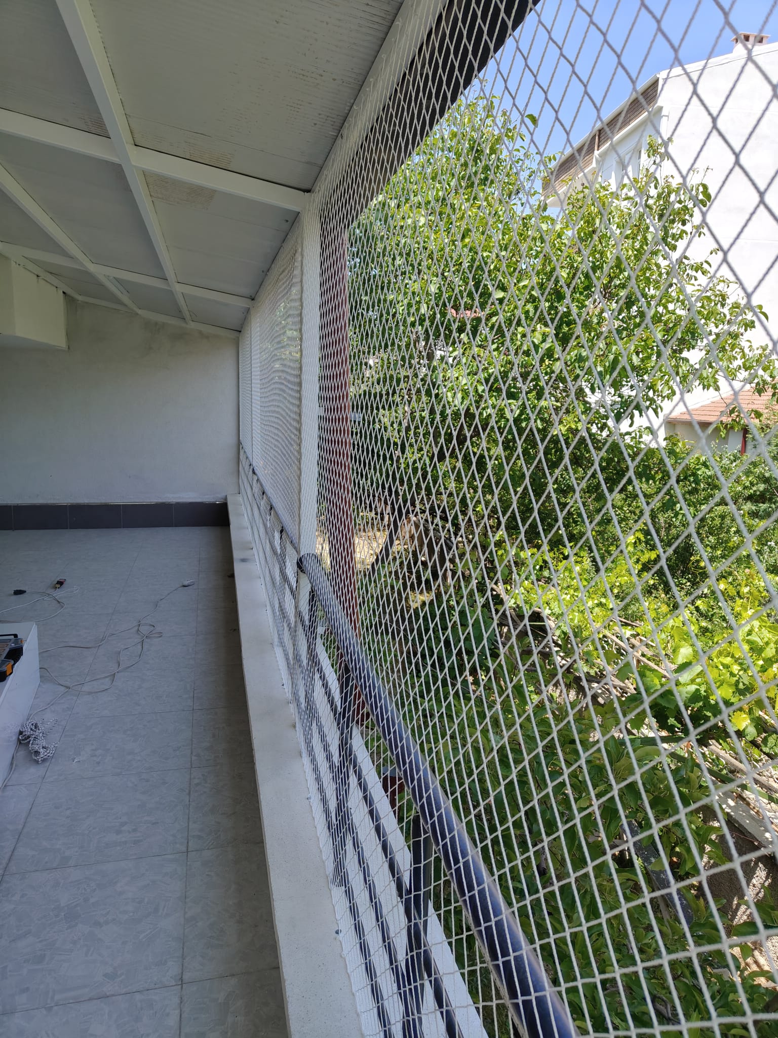 Kırıkkale Kedi Filesi